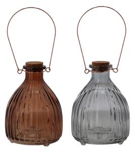 Trappole per insetti in vetro in set da 2 Bottle - Esschert Design