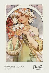 Riproduzione Flower 1897, Alfons Mucha