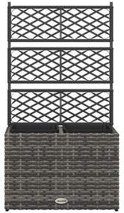 Outsunny Fioriera con Grigliato per Rampicanti con 2 Vasi in Acciaio e Rattan PE, 57x30x107cm, Grigio|Aosom