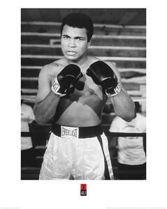 Stampa d'arte Muhammad Ali - Pose