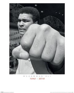 Stampa d'arte Muhammad Ali Commemorative - Punch, (60 x 80 cm)