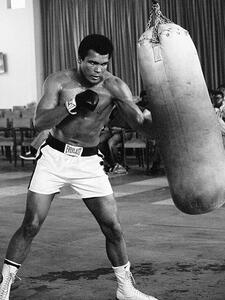 Quadro su tela Muhammad Ali - Punch Bag, (60 x 80 cm)