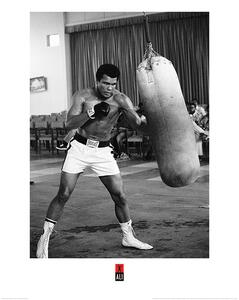 Stampa d'arte Muhammad Ali - Punch Bag, (60 x 80 cm)