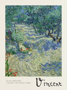 Riproduzione Olive Orchard - Vincent van Gogh