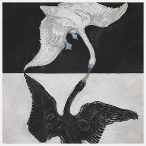 Riproduzione The Swan No 1 Black White - Hilma af Klint