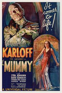 Riproduzione The Mummy Vintage Cinema Retro Movie Theatre Poster Horror Sci-Fi