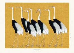 Studio Collection - Riproduzione Japanese Red Crown Crane, (40 x 30 cm)