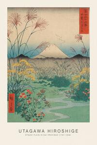 Riproduzione tsuki Plain in Kai Province Japanese Spring Landscape - Utagawa Hiroshige