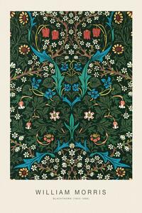 Riproduzione Blackthorn Special Edition Classic Vintage Pattern - William Morris, (26.7 x 40 cm)