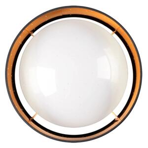 Plafoniera LED TULUZA LED/18W/230V diametro 32 cm nero
