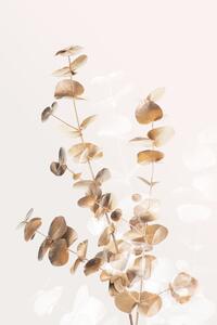 Illustrazione Eucalyptus Creative Gold 03, Studio Collection