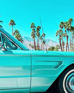 Fotografia Teal Thunderbird in Palm Springs, Tom Windeknecht
