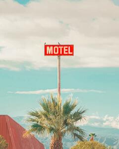 Fotografia This Motel is for the Birds, Tom Windeknecht