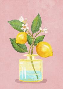 Illustrazione Lemon Bunch In Vase, Raissa Oltmanns