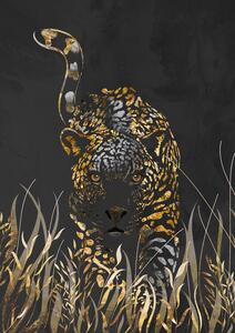 Illustrazione Black gold jaguar in grass, Sarah Manovski