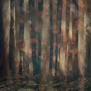 Illustrazione Forest abstract, Nel Talen