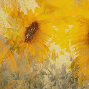 Illustrazione Sunflower, Nel Talen, (40 x 40 cm)