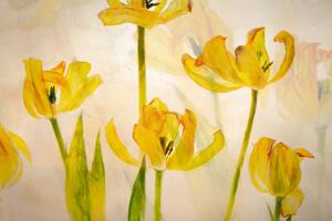 Illustrazione Flowering tulips, Nel Talen
