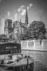 Fotografia Paris Cathedral Notre-Dame monochrome, Melanie Viola