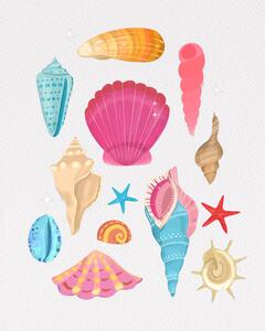 Illustrazione Seashells, Petra Lizde