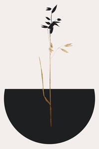 Illustrazione Planta Negra, Kubistika, (26.7 x 40 cm)