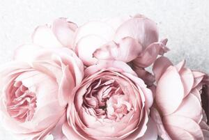 Copriradiatore - Tappetino magnetico rosa 60x100 cm Fiori eleganti Peonie Decorazione moderna e romantica
