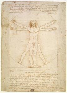 Leonardo da Vinci - Stampa artistica The Proportions of the human figure c 1492, (30 x 40 cm)