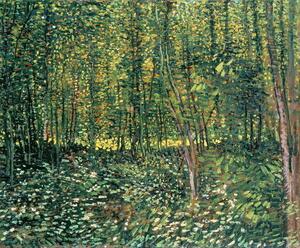 Vincent van Gogh - Stampa artistica Trees and Undergrowth 1887, (40 x 35 cm)