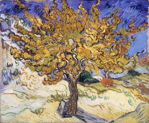 Vincent van Gogh - Stampa artistica Mulberry Tree 1889, (40 x 35 cm)