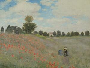 Riproduzione Wild Poppies near Argenteuil 1873, Claude Monet
