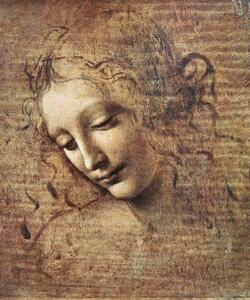 Leonardo da Vinci - Stampa artistica Leonardo da Vinci - Volto di fanciulla, (35 x 40 cm)
