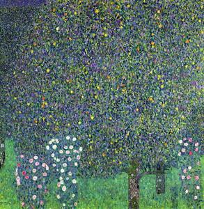 Riproduzione Roses under the Trees c 1905, Gustav Klimt