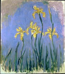Monet, Claude - Stampa artistica Yellow Irises Les Iris Jaunes c 1918-1925, (35 x 40 cm)