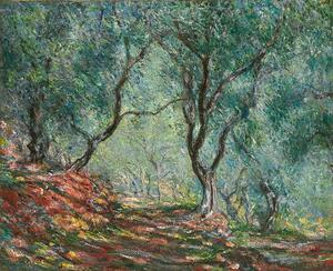 Monet, Claude - Stampa artistica Olive Trees in the Moreno Garden Bois d'oliviers au jardin Moreno, (40 x 35 cm)
