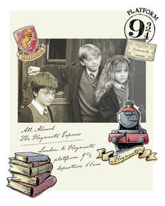 Stampa d'arte Harry Potter - Hermione Harry e Ron