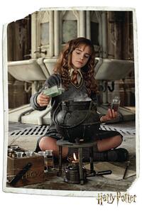 Posters, Stampe Harry Potter - Hermione Granger, (61 x 91.5 cm)