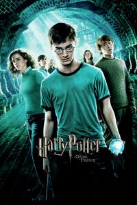Stampa d'arte Harry Potter - l'Ordine della Fenice