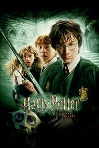 Stampa d'arte Harry Potter - la Camera dei Segreti, (26.7 x 40 cm)
