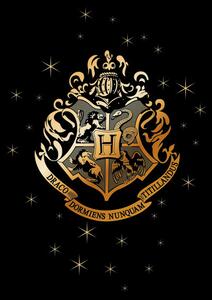 Stampa d'arte Hogwarts Golden Emblem, (26.7 x 40 cm)