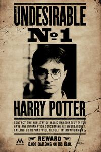 Stampa d'arte Harry Potter - Undesirable No 1, (26.7 x 40 cm)