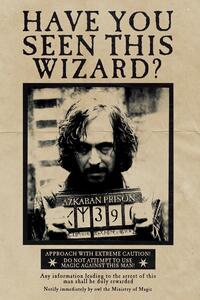 Stampa d'arte Harry Potter - Wanted Sirius Black, (26.7 x 40 cm)