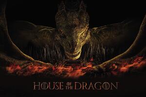 Stampa d'arte House of the Dragon - Dragon's fire, (40 x 26.7 cm)