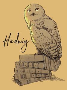Stampa d'arte Harry Potter - Hedwig, (26.7 x 40 cm)