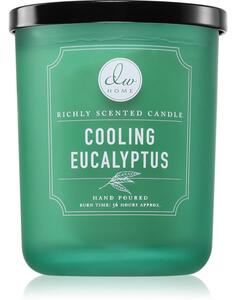 DW Home Signature Cooling Eucalyptus candela profumata 425 g