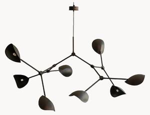 Lampadario grande Stingray, in varie misure