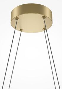 Maytoni MOD244PL-L50BSK - Lampadario LED sospeso su cavo HALO LED/40W/230V, oro