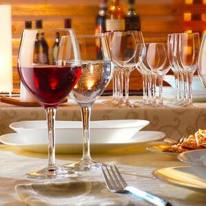 Calice vino in vetro temperato, grande resistenza e flessibilità d'uso, forma elegante e moderne, ideali nella ristorazione professionale e nel banqueting