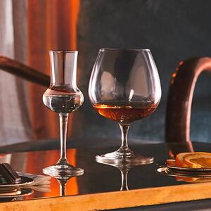 <p>Pratici ed eleganti calici per la degustazione di Cognac, Brandy, Rhum invecchiato, Whisky invecchiato, Calvados, Armagnac, Marc.</p>
