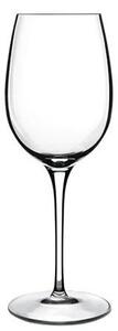 <p>Calice per la degustazione di vini rossi e bianchi di medio corpo quali Chianti, Margaux, Pauliac, Sassicaia, Pinot..</p>