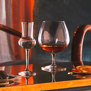 Set di Bicchieri da Acquavite o grappa in Vetro di Lyngby Glas